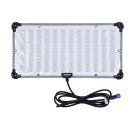amaran F21C