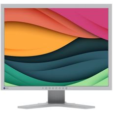Eizo S2134-GY 21inch 4:3 1600x1200