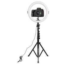 KingJoy R11+FL019+KT26 Kit